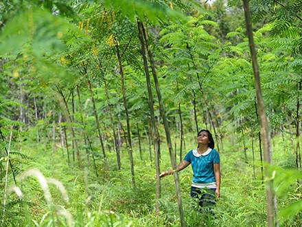 : 1 miljoen bomen voor BorneoAls verantwoordelijkheidsbewuste onderneming met wortels in de bosbouw engageert STIHL zich wereldwijd voor een duurzame omgang met het bos als hulpbron. Door het herbebossingsproject "1 miljoen bomen voor Borneo" van de vzw Fairventures Worldwide te steunen, draagt STIHL bijvoorbeeld bij aan de bescherming van het regenwoud in Indonesië. Een van de bijzonderheden van het project is de actieve betrokkenheid van de plaatselijke bevolking om de aangetaste bosgebieden sociaal, ecologisch en duurzaam te gebruiken en het oerbos te beschermen. STIHL ondersteunt Fairventures met financiële middelen en donaties van gereedschap en kennis. Op die manier levert het bedrijf een bijdrage aan dit project en dus ook aan de bescherming van de regenwouden op het eiland Borneo. Door STIHL machines – van bosmaaiers en boormachines tot kettingzagen met de bijbehorende veiligheidsuitrusting – te doneren en de nodige opleidingen voor het gebruik van deze machines aan de gebruikers, draagt STIHL zijn steentje bij aan een efficiënter en duurzaam beheer van deze bosgebieden. Een positieve bijwerking is dat het gebruik van de machines de aantrekkelijkheid van agrarisch werk verhoogt en zo de plattelandsvlucht een halt toeroept. Bovendien bieden de bosmaaiers nog een bijkomend voordeel: ze kunnen het gebruik van gewasbeschermingsmiddelen verminderen. Het vervolgproject "100 miljoen bomen voor Borneo", dat een nog grootschaligere aanpak van de boslandbouw voorziet, staat bij Fairventures al in de startblokken – met STIHL als partner.Meer informatie op https://fairventures.org/