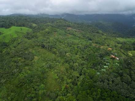 : Bomen voor la TigraHet regenwoudproject La Tigra in het noorden van Costa Rica is alweer enkele bomen rijker. La Tigra beoogt de herbebossing van gebieden, waar grote delen van het bos geveld werden voor de landbouw. Op een terrein van drie hectare worden nu opnieuw bomen aangeplant.De eerste jaren worden de jonge bomen verzorgd, later moet het bos zich ontwikkelen zonder tussenkomst van de mens. De monocultuurteelt van bijvoorbeeld bananenbomen heeft de habitat van talrijke inheemse dieren verstoord. Dankzij de herbebossing wordt nu ook de biodiversiteit gestimuleerd. La Tigra wil op die manier niet alleen de aangerichte milieuschade gedeeltelijk herstellen, maar ook aantonen dat herbebossing een bron van duurzame inkomsten kan zijn. De La Tigra Lodge is immers een bestemming voor toeristen die hun vakantie op een duurzame manier willen doorbrengen. Ze kunnen – ver weg van het massatoerisme – in een tentenkamp midden in het oerwoud slapen en overdag wandeltochten maken en dieren observeren.STIHL ondersteunt het project en doneerde 40 bomen, die in mei 2017 door een klas schoolkinderen werden geplant. Medewerkers van de Lodge verzorgen de jonge bomen gedurende drie jaar, waarna ze op natuurlijke wijze moeten uitgroeien tot een dicht oerwoud.